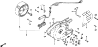 Left Crankcase Cover + Alternator