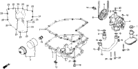 Oil Pan