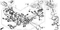 Wire Harness (2)