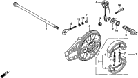 Rear Brake + Rear Brake Panel