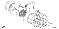 Left Crankcase Cover + Generator