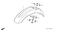 Front Fender