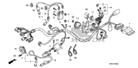 Wire Harness