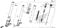 Front Fork (1)