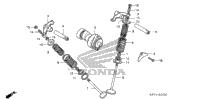 Camshaft + Valve (1)