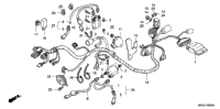 Wire Harness