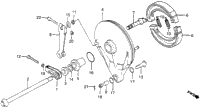 Rear Brake Panel 81