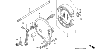 Rear Brake Panel