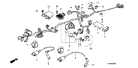 Wire Harness