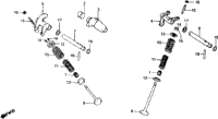 Camshaft + Valve 81-82