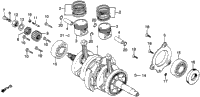 Crankshaft + Piston
