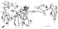 Wire Harness (1)