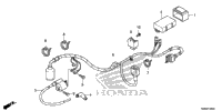 Wire Harness (1)