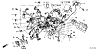 Wire Harness