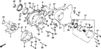 Left Crankcase Cover + Water Pump