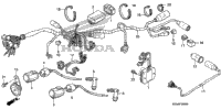 Wire Harness