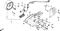 Left Crankcase Cover + Alternator