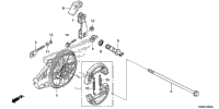 Rear Brake Panel