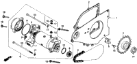 Starting Motor