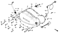 Right Crankcase Cover + Pulse Generator