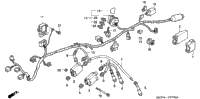 Wire Harness