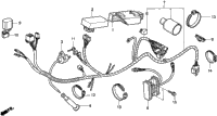 Wire Harness