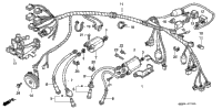 Wire Harness