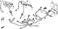 Wire Harness