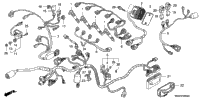 Wire Harness ('04-'06)