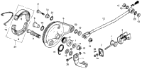 Rear Brake Panel