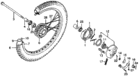 Front Wheel + Panel
