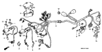 Wire Harness (2)