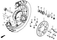 Rear Wheel