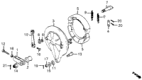 Rear Brake Panel
