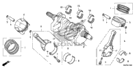 Crankshaft + Piston