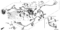 Wire Harness (1)