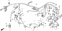 Wire Harness