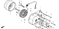 Left Crankcase Cover + Generator