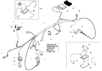 Main Wiring Harness, Electrical Parts