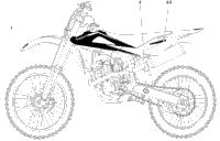 Transfer