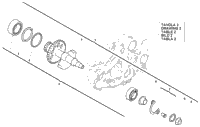 Balance Shaft