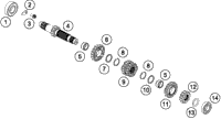 Transmissioni - Main Shaft