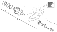 Balance Shaft