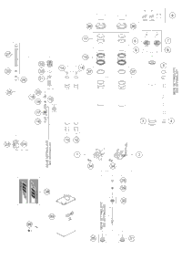 Front Fork Disassembled