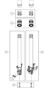 Front Fork Disassembled