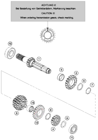 Transmissioni - Main Shaft