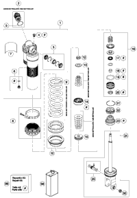 Shock Absorber Disassembled