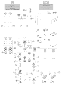 Front Fork Disassembled