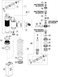 Shock Absorber Dissassembled