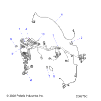 Electrical, Wire Harness N21msa00/Msb00 All Options